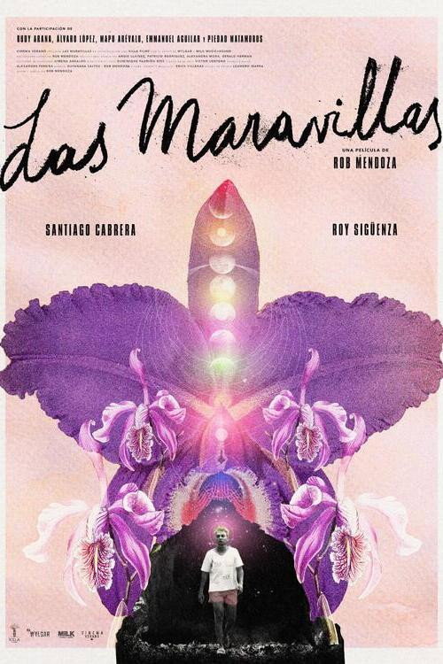 Movie poster for Back to Las Maravillas (2023)