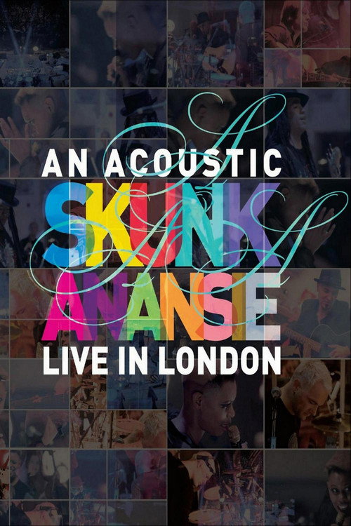 Movie poster for Skunk Anansie - An Acoustic Skunk Anansie Live In London (2013)