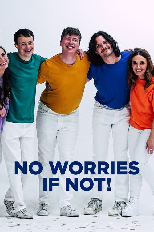 No Worries If Not! poster