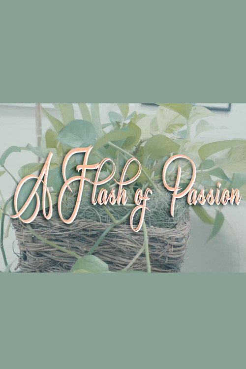 Movie poster for A Flash Of Passion (2025)