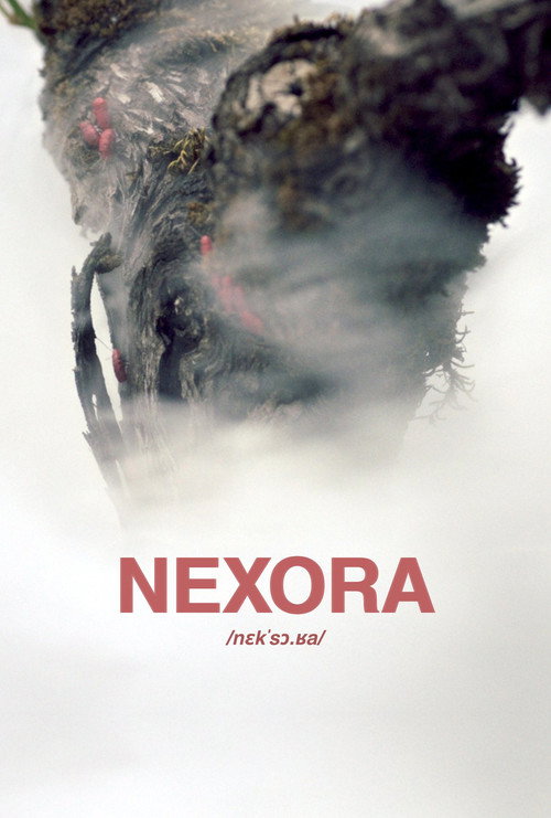 Movie poster for Nexora