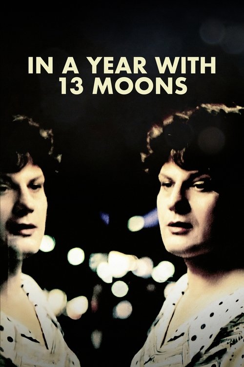 Movie poster for In a Year with 13 Moons (1978)