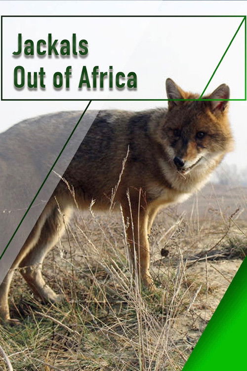 Movie poster for Jackals - Out of Africa (2007)