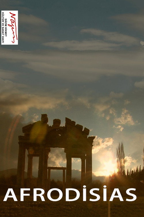 Movie poster for Afrodisias (2012)