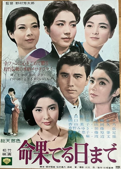 Movie poster for Inochi hateru hi made (1966)