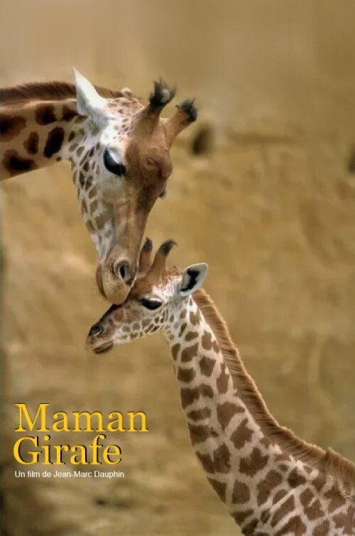 Movie poster for Maman girafe (2020)
