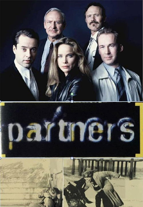 Die Partner poster
