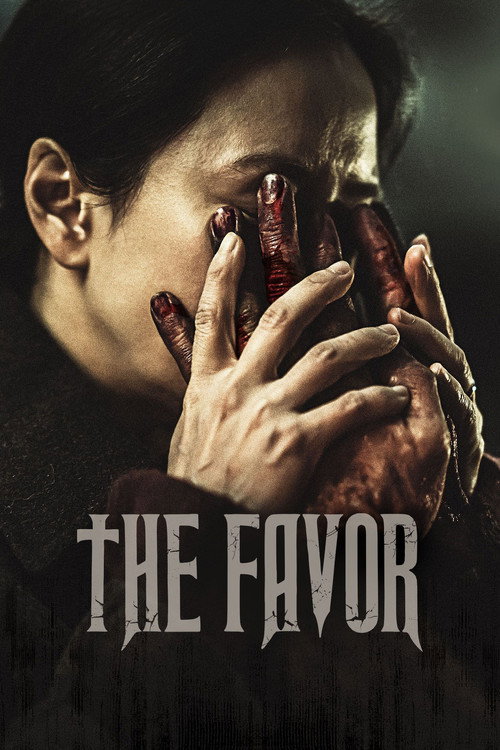 Movie poster for The Favor (2025)