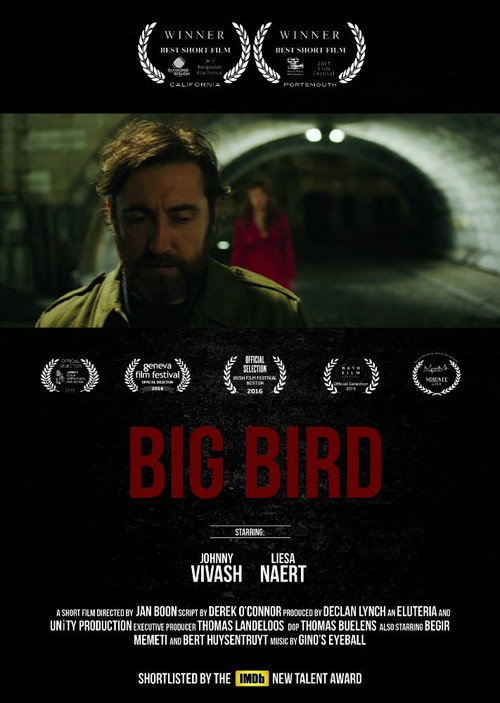 Movie poster for Big Bird (2015)