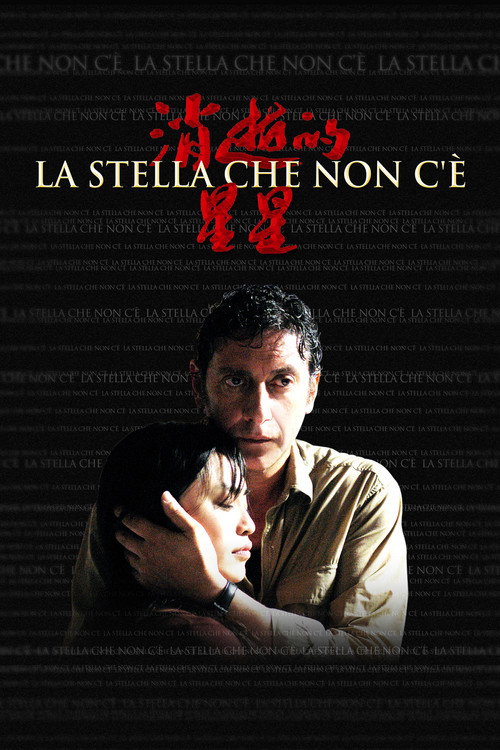 Movie poster for The Missing Star (2006)