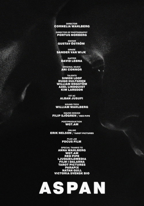 Movie poster for ASPAN (2026)