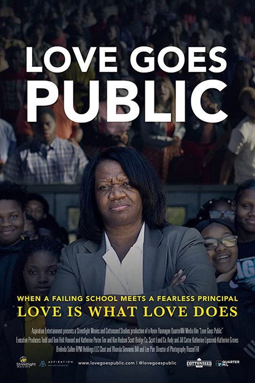 Movie poster for Love Goes Public (2019)