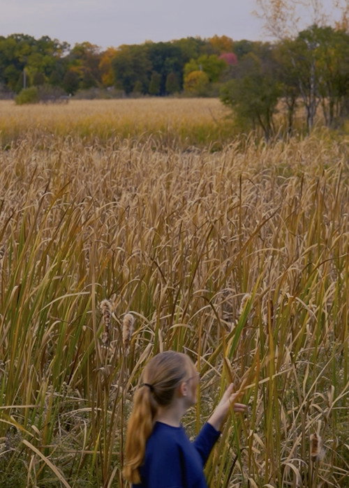 Movie poster for Wheat and Chaff (2025)
