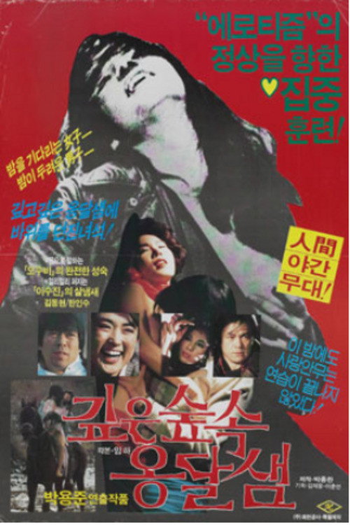 Movie poster for Spring in the Deep Mountain (1985)