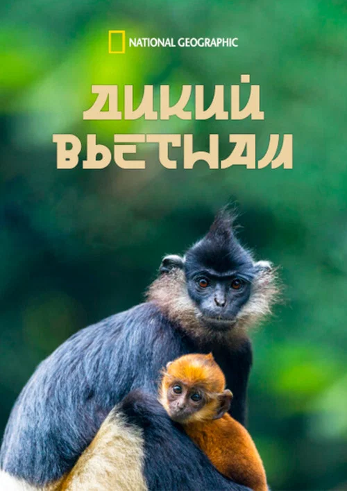 Series poster for Wild Vietnam (2024)