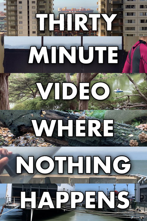 Movie poster for Thirty Minute Video Where Nothing Happens (2023)