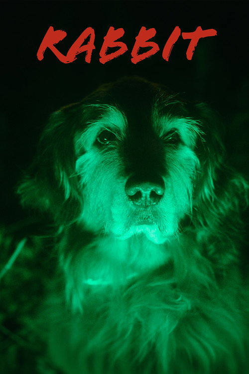 Movie poster for Rabbit