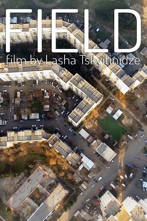 Movie poster for Field (2021)