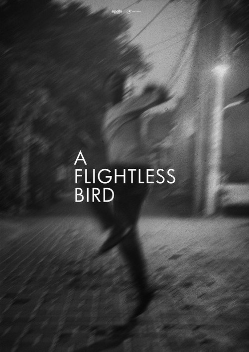 Movie poster for A Flightless Bird