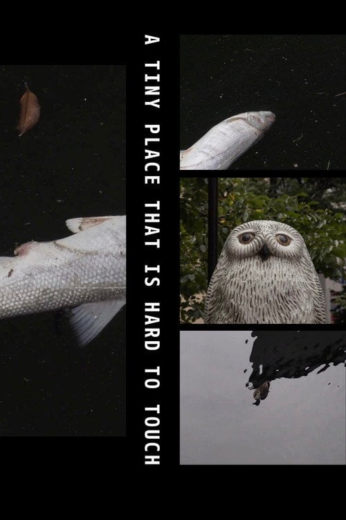 Movie poster for A Tiny Place That Is Hard to Touch (2019)