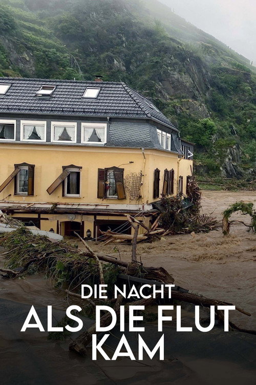 Movie poster for Die Nacht, als die Flut kam - Protokoll einer Klimakatastrophe (2022)