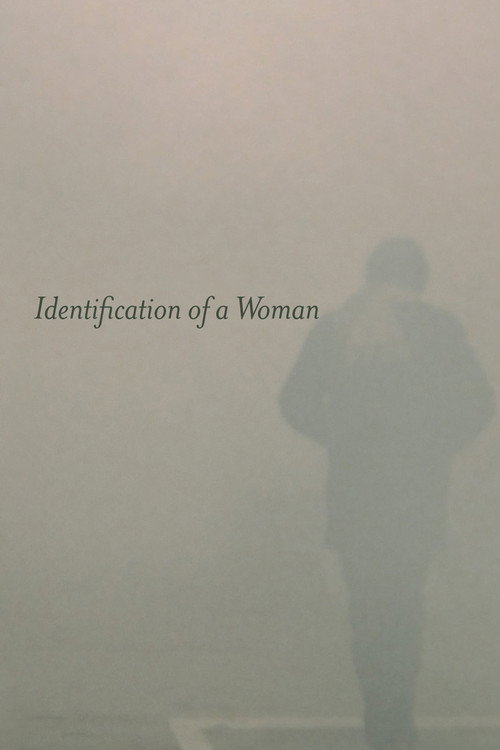 Movie poster for Identification of a Woman (1982)