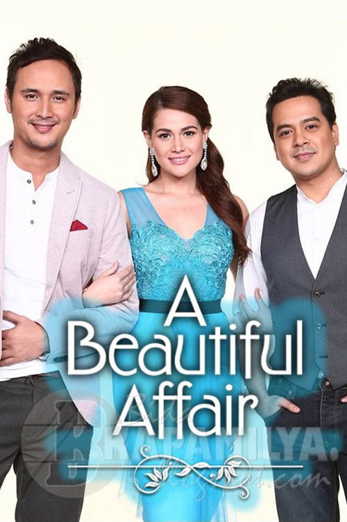 A Beautiful Affair poster