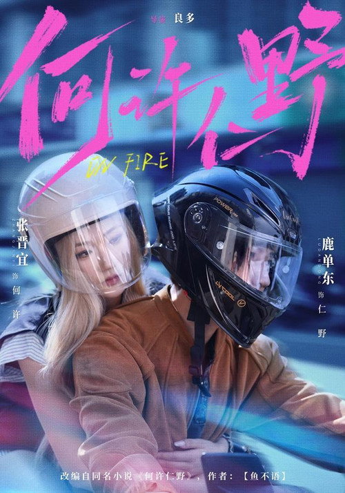 Series poster for 何许仁野 (2026)