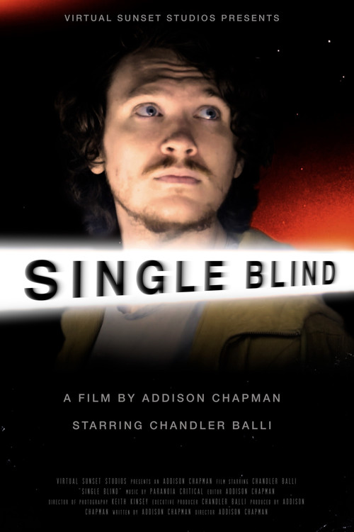 Movie poster for Single Blind (2025)