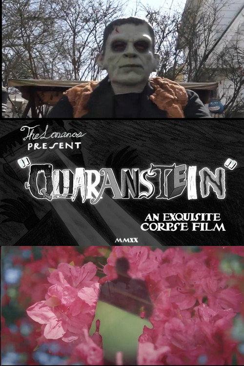 Movie poster for Quaranstein (2020)