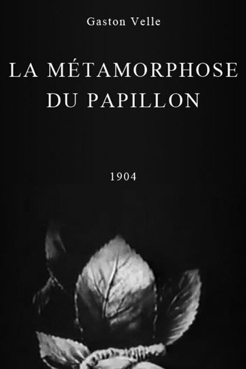 Movie poster for Metamorphosis of a Butterfly (1904)