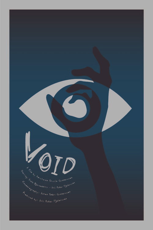 Movie poster for Void (2022)