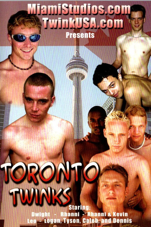 Movie poster for Toronto Twinks (2004)