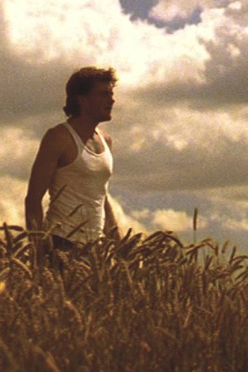Movie poster for Bliss and Heaven (2005)