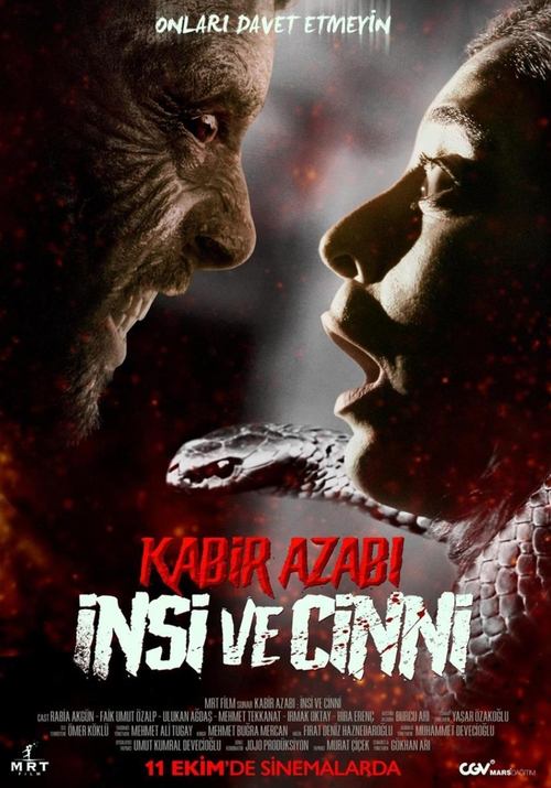 Movie poster for Kabir Azabi: Insi and Jinni (2024)