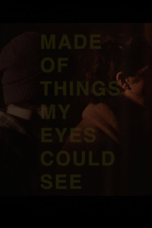 Movie poster for Made of Things My Eyes Could See (2016)