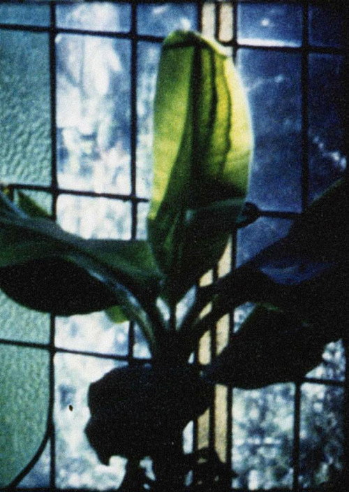 Movie poster for Articulated Image (1996)