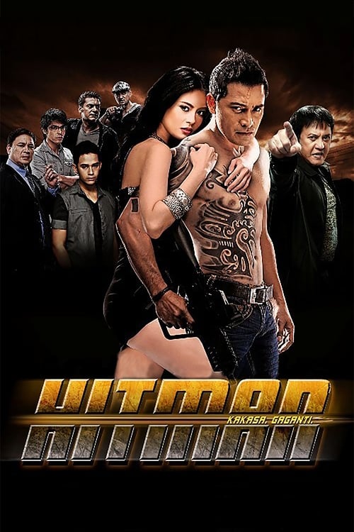 Movie poster for Hitman (2012)