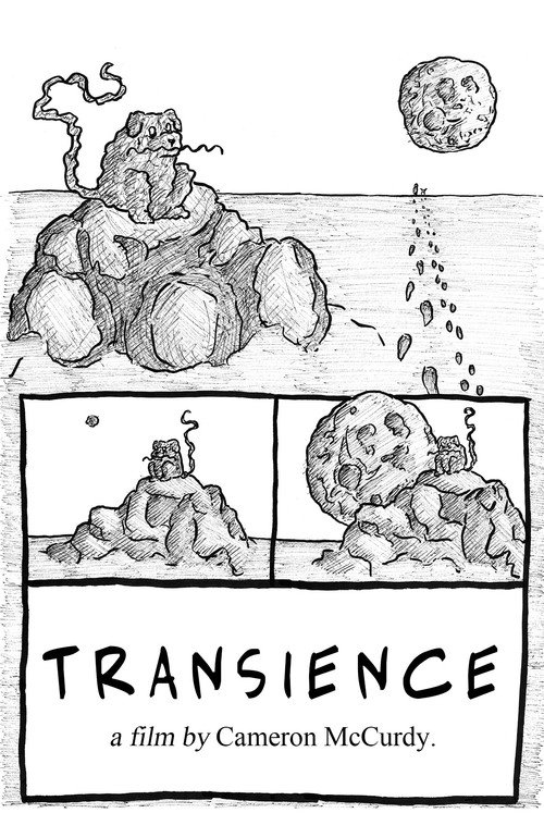 Movie poster for Transience