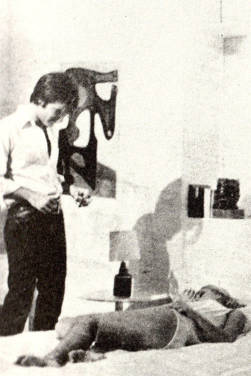 Movie poster for Sin fin (1971)