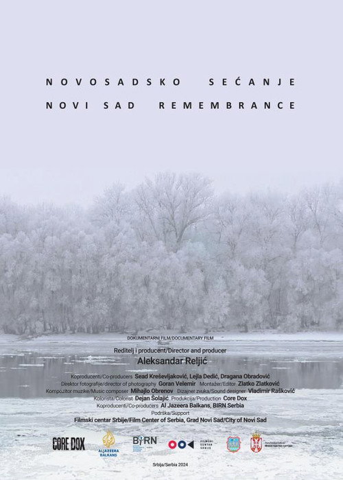 Movie poster for Novi Sad Remembrance (2024)