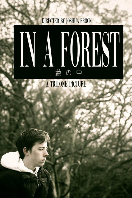 Movie poster for In a Forest (2024)