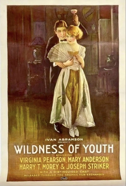 Movie poster for Wildness of Youth (1922)