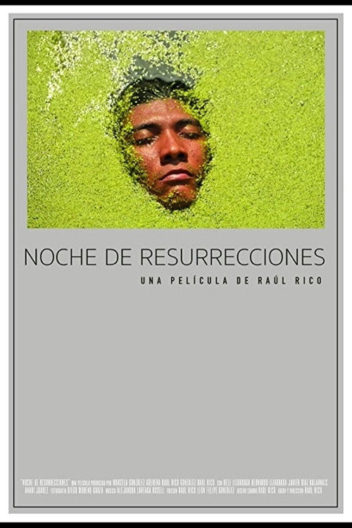 Movie poster for Night of Resurrections (2015)