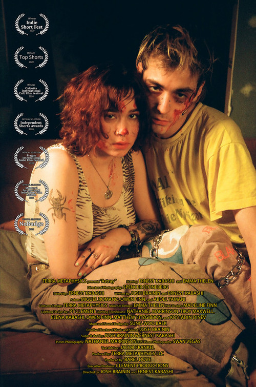 Movie poster for Astray