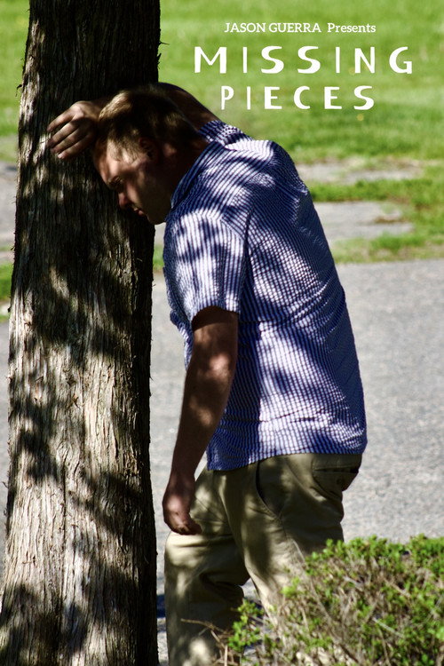 Movie poster for Missing Pieces (2026)