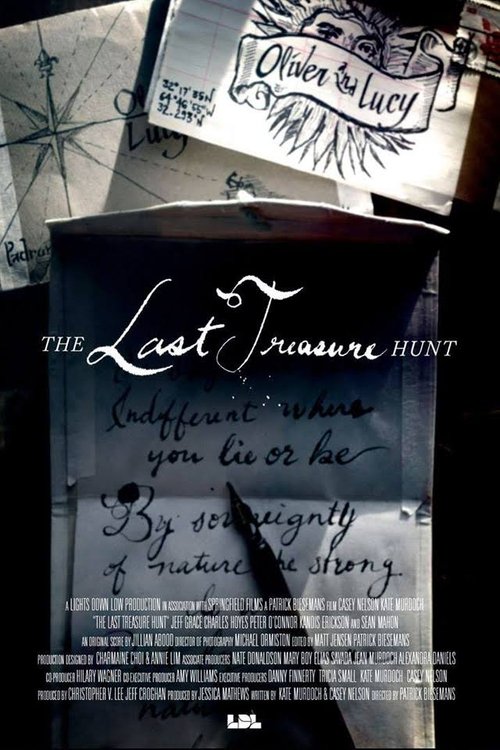 Movie poster for The Last Treasure Hunt (2016)