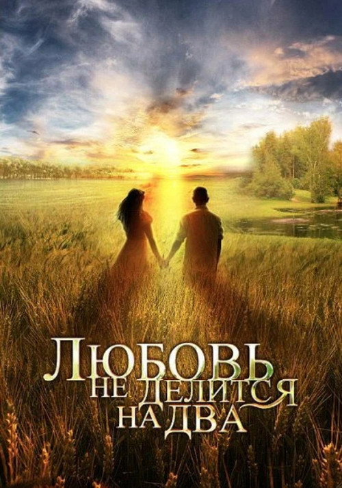 Movie poster for Love Can’t Be Divided (2013)