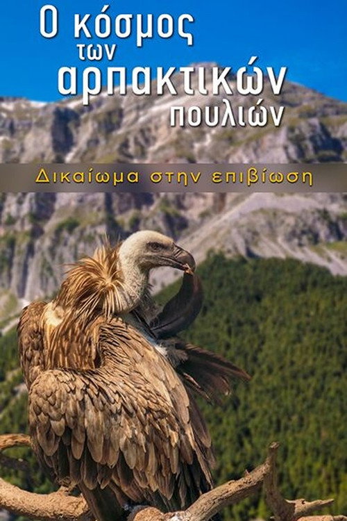 Movie poster for The World of Birds of Prey – Right to Survival (2024)