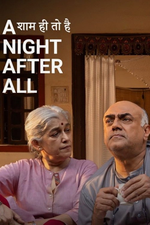 Movie poster for A Night, After All (2024)